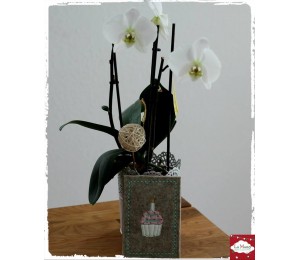 ITH Postkarte - Happy Birthday Muffin Kerze